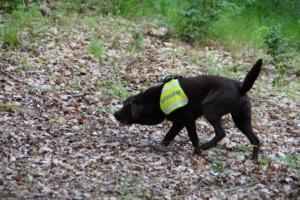 Training 24.05.2020 – Bechlingen 132